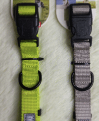 Bow wow Pet Collar Design Large Size