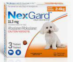 NexGard Chewable Small 2-4Kg Orange / Piece